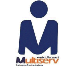 MULTISERV Training & Consultancy